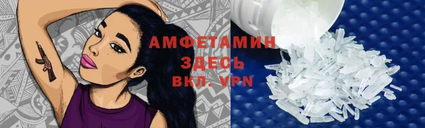 шишки Белоозёрский