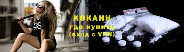 шишки Белоозёрский