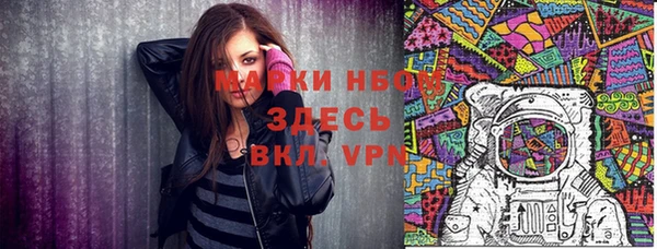 шишки Белоозёрский