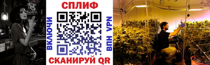Конопля VHQ  продажа наркотиков  Хасавюрт 